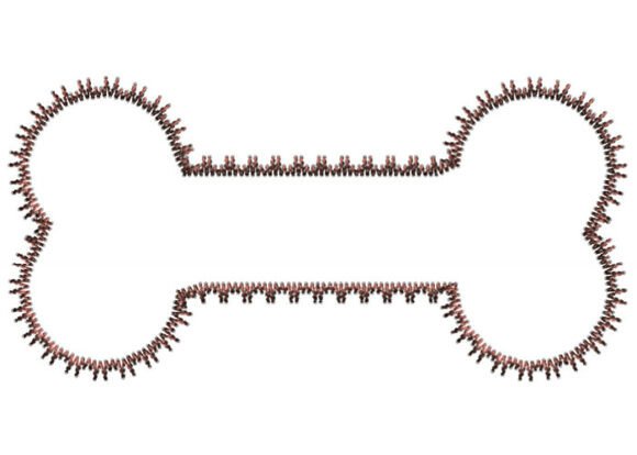 Review: Elegant Dog Bone Embroidery Design for Brands